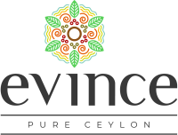 evince and co main logo